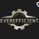 EverEfficient AI