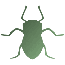 Aphid