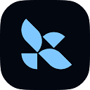 LangGraph Workflows