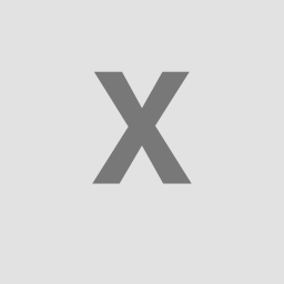 X-ray Interpreter